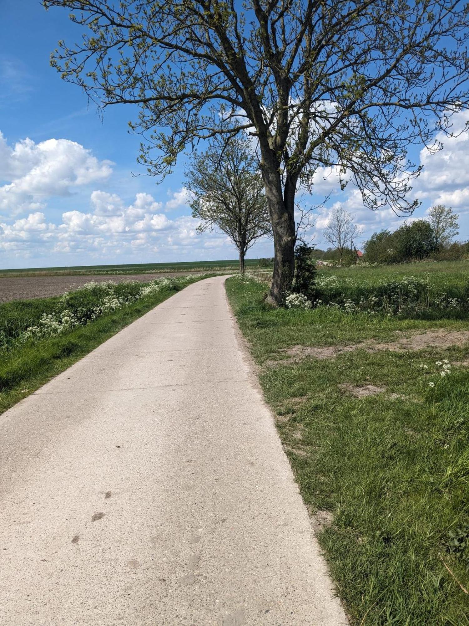 Willa Huus Meta Krummhörn Zewnętrze zdjęcie